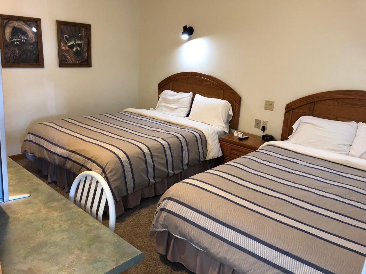 Village Inn Motel Chatham ภายนอก รูปภาพ